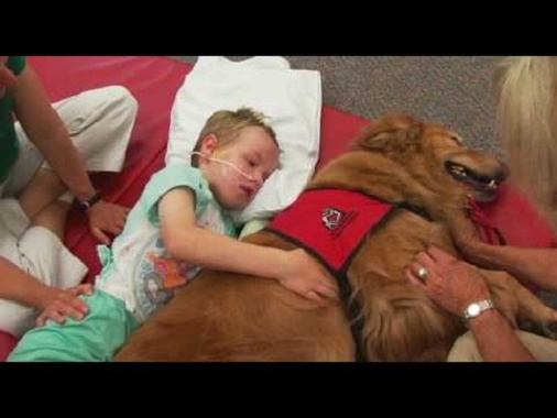 Δείτε τι συμβαίνει όταν ένα αγόρι που πεθαίνει  συναντά τον σκύλο που θα τον θεραπεύσει!