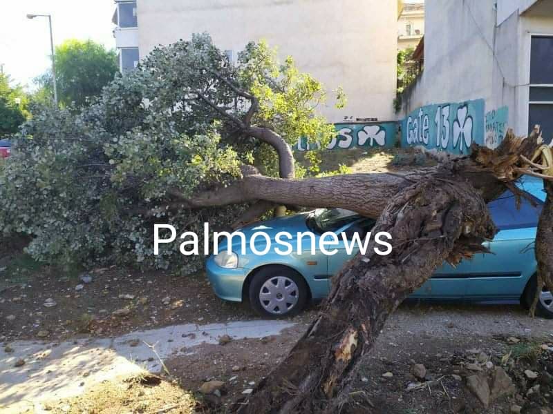 Δήμος Γαλατσίου: Ξεριζώθηκαν δέντρα και πλάκωσαν αυτοκίνητα