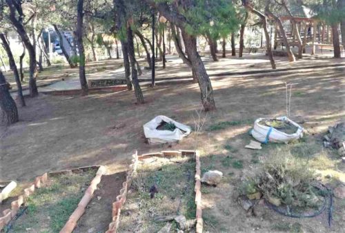 111 νέα δέντρα και εργασίες συντήρησης – αποκατάστασης ζημιών στα πάρκα του Δήμου Βύρωνα