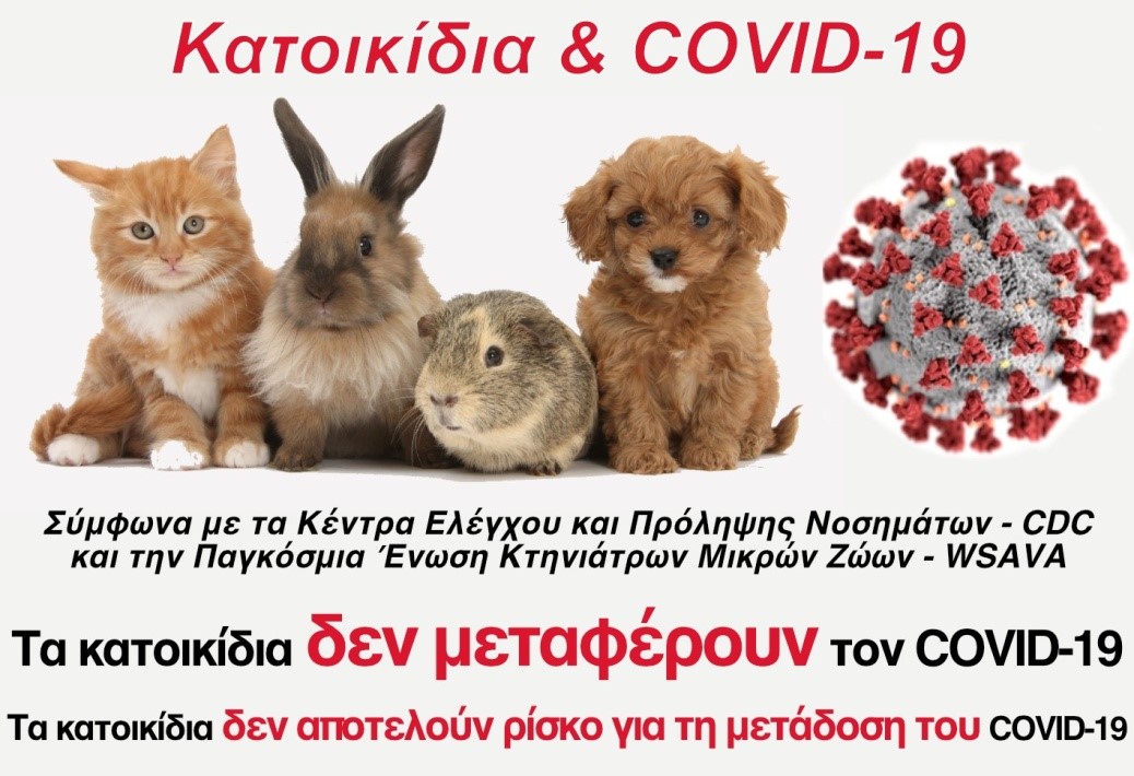 Δήμος Γαλατσίου: Kατοικίδια ζώα και COVID 19 – Μύθοι και πραγματικότητα