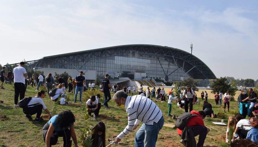 1.300 δεντράκια φυτεύτηκαν στην ανοιχτή δενδροφύτευση στο ΠΑΛΑΙ το Σάββατο 6 Νοεμβρίου 2021