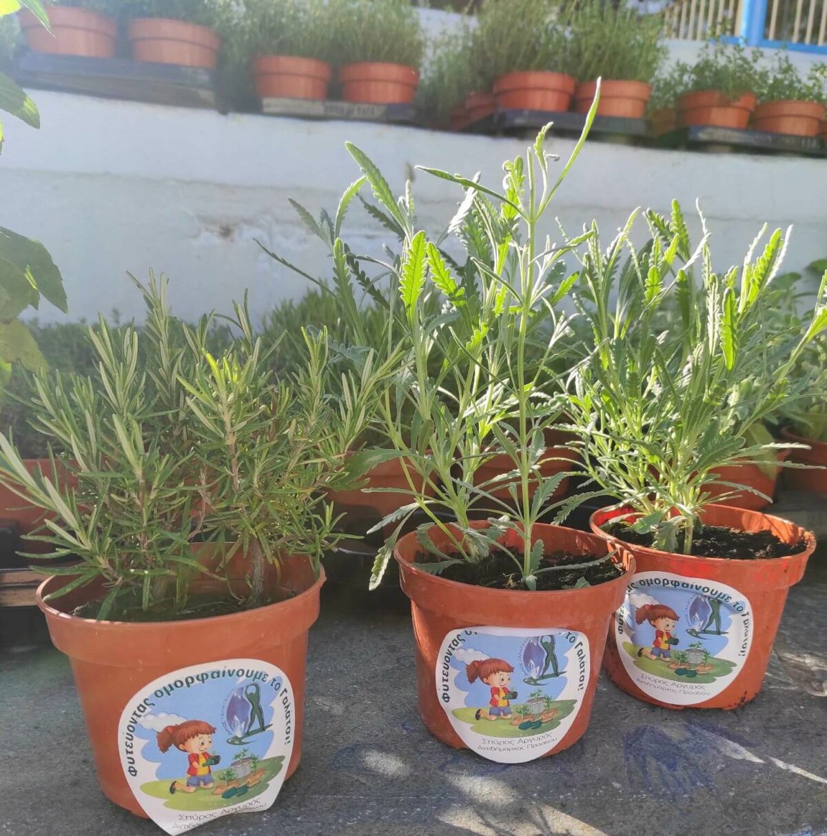 Ο Δήμος Γαλατσίου μοίρασε γλαστράκια με αρωματικά – καλλωπιστικά φυτά και σπόρους, στο πλαίσιο της Παγκόσμιας Ημέρας Περιβάλλοντος